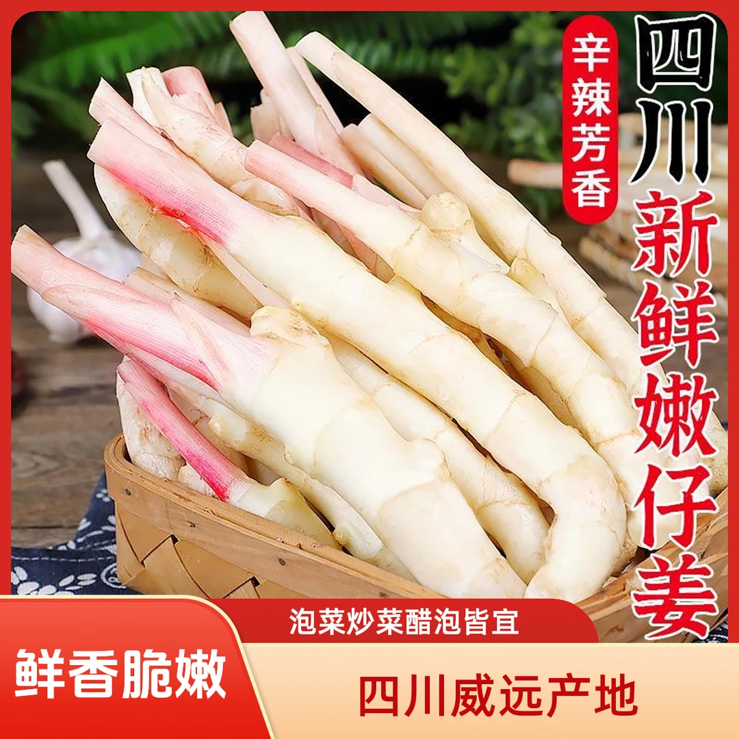 【四川威远嫩生姜】嫩姜现挖应季新鲜食用散装0.5/1/2/3/4/5/9斤