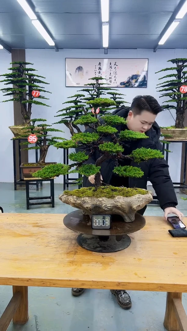 以实际为准00000000