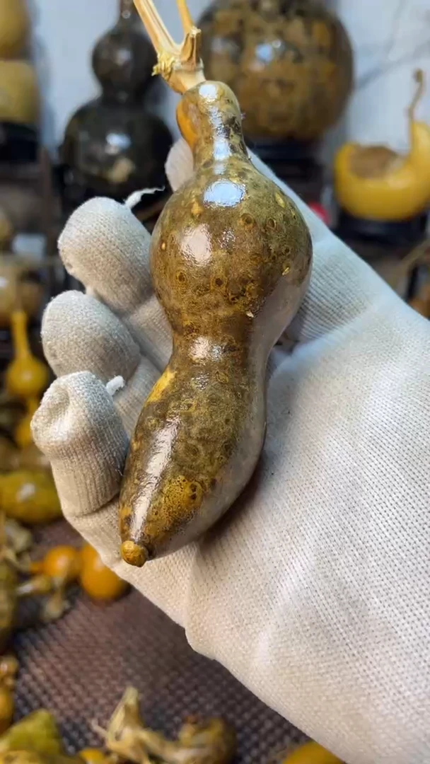 【闪购商品】葫芦葫芦葫芦葫芦