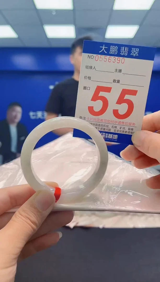 未镶嵌手镯翡翠AAAAAAAAA