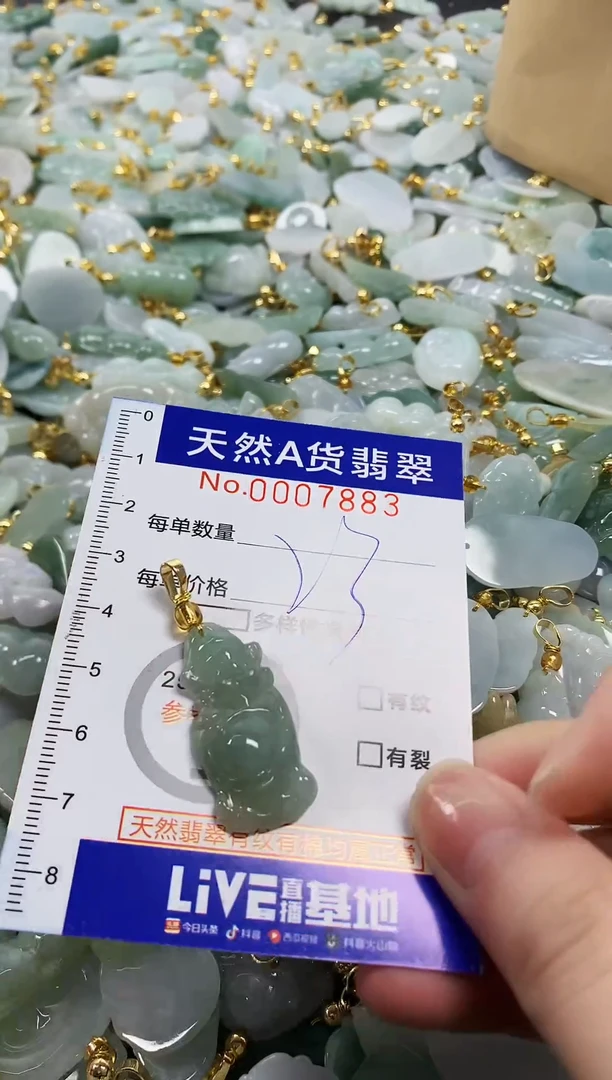 颈饰未镶嵌翡翠天然a货翡翠