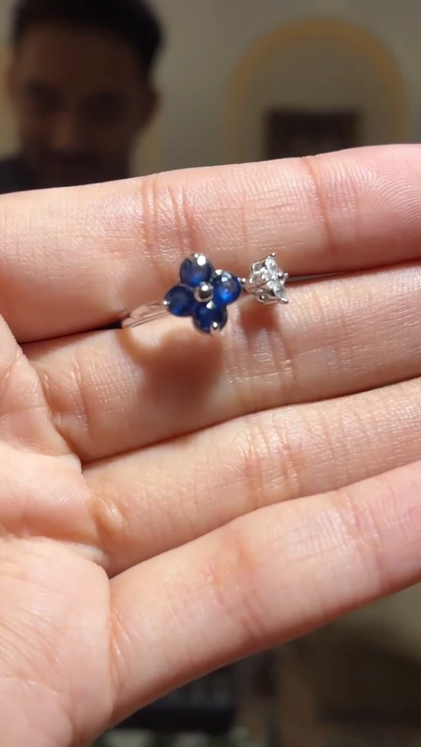 其他蓝宝石银S925镶嵌（扎德严选）