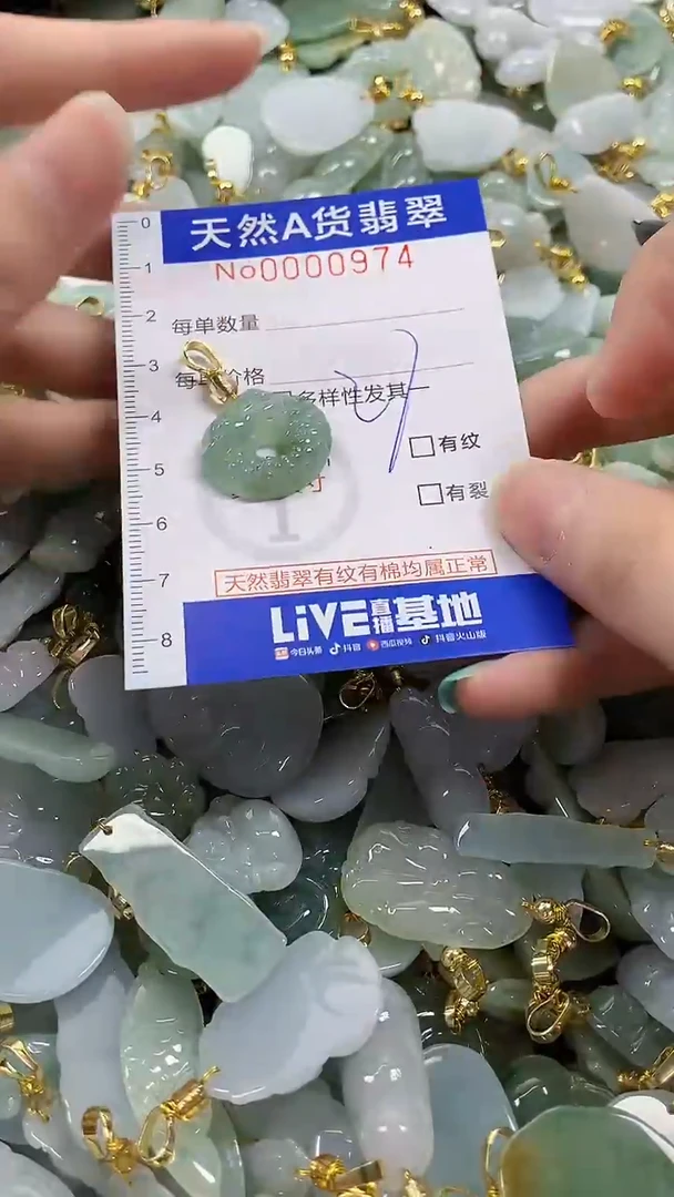 颈饰未镶嵌翡翠纯天然a货翡翠