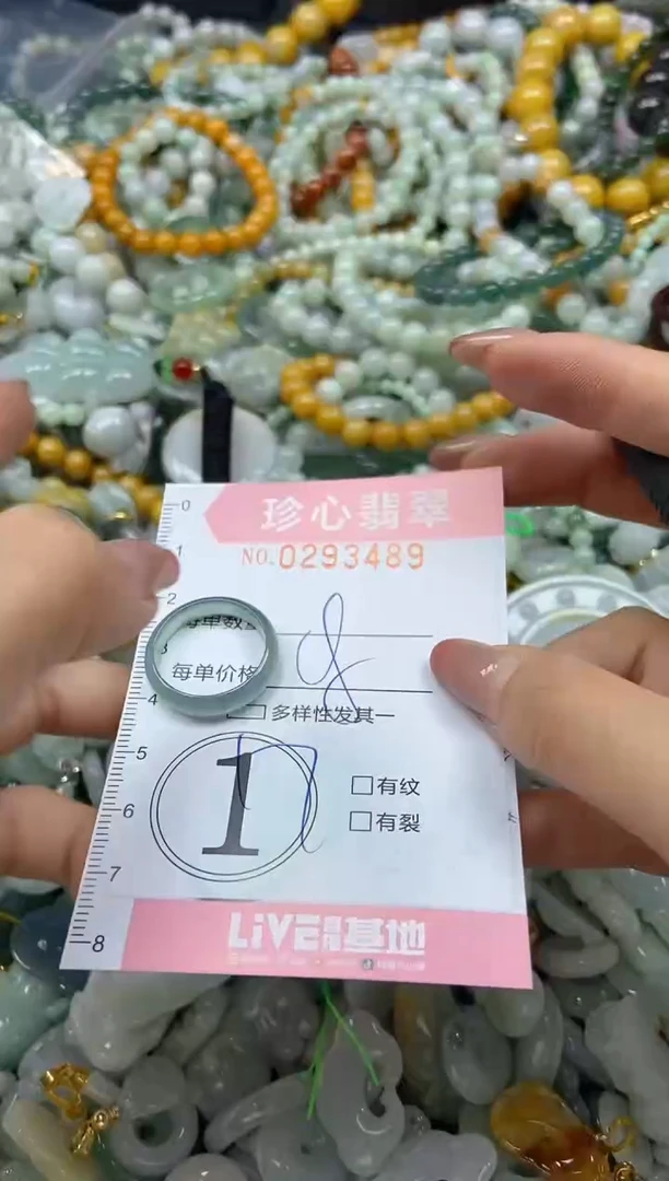 翡翠未镶嵌颈饰闪购0293489