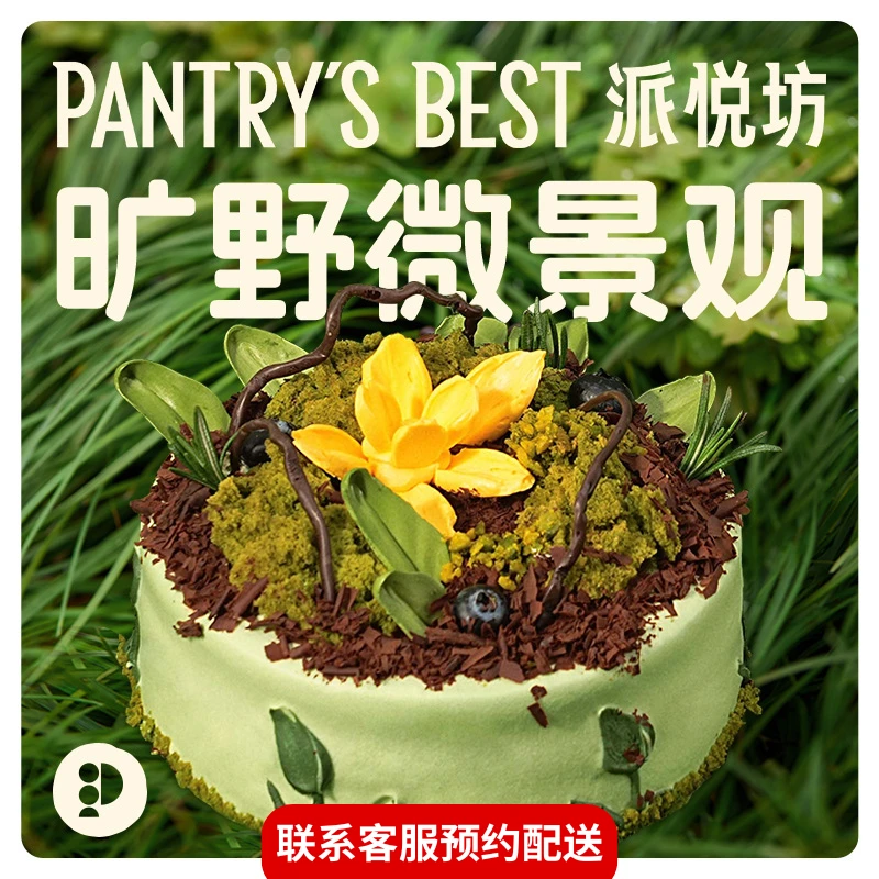 派悦坊牛油果芒果椰香微景观生日蛋糕同城配送北京上海杭州南京