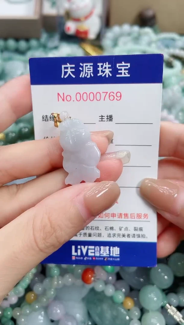 翡翠未镶嵌颈饰096