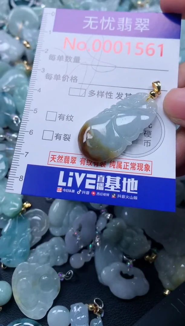 颈饰未镶嵌翡翠1561