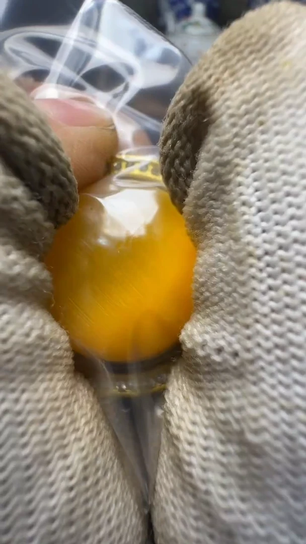 佳合创意屋专属链接