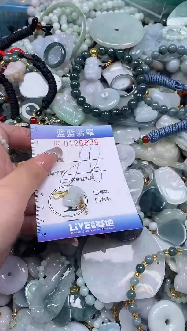 【闪购商品】翡翠颈饰未镶嵌闪购0126806多样性发其一