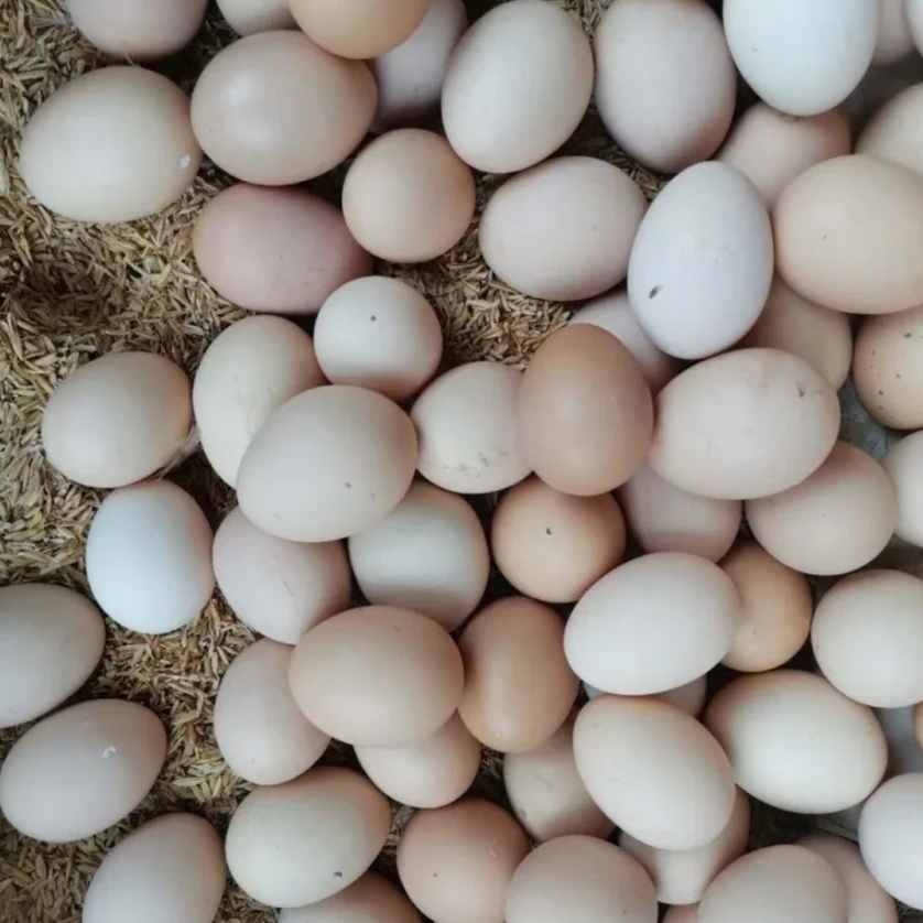 徽韵散养土鸡蛋（30枚）15枚乌鸡蛋+15枚土鸡蛋