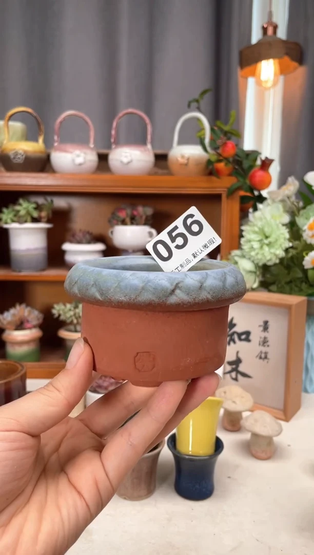 瓷片056知木小芳花盆直播编号