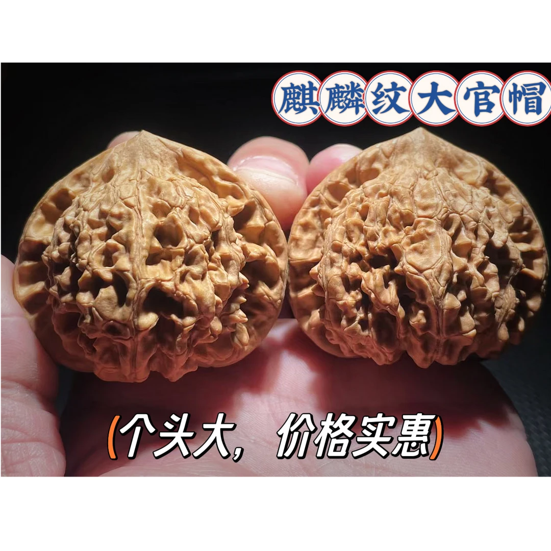 【新品头货大官帽】文玩核桃特大麒麟纹大官帽文玩核桃一对