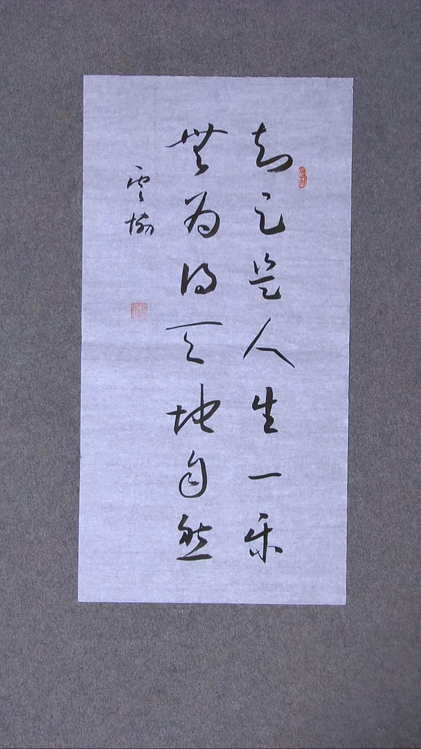 书法谭云协 宁夏 副主69*34两平尺