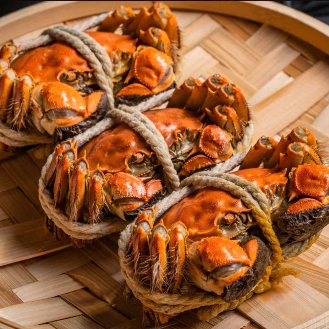 4两【公蟹】10只 江苏精品鲜活大闸蟹