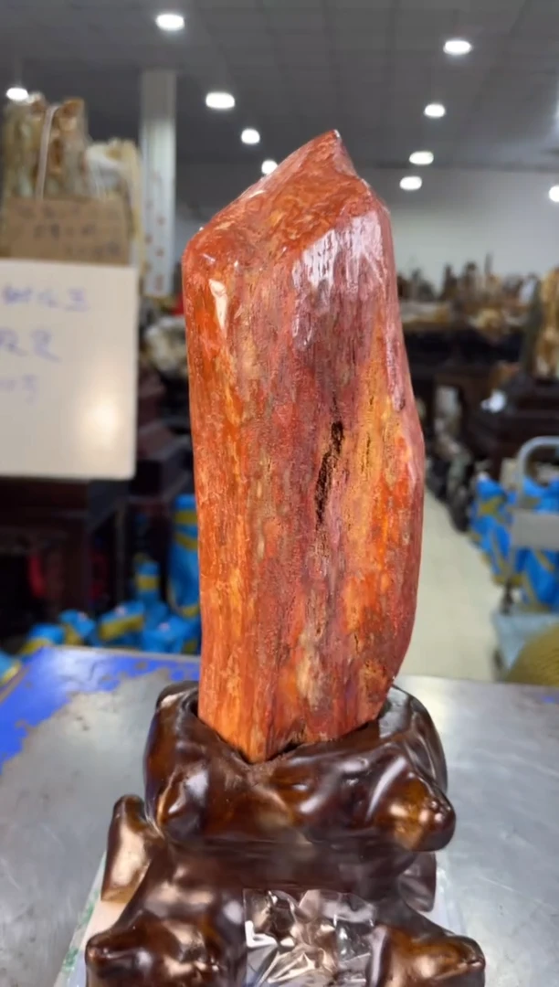 未镶嵌摆件硅化玉3