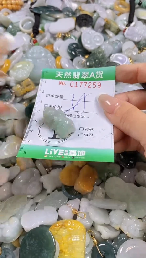 翡翠未镶嵌颈饰闪购0177259多样性发其一