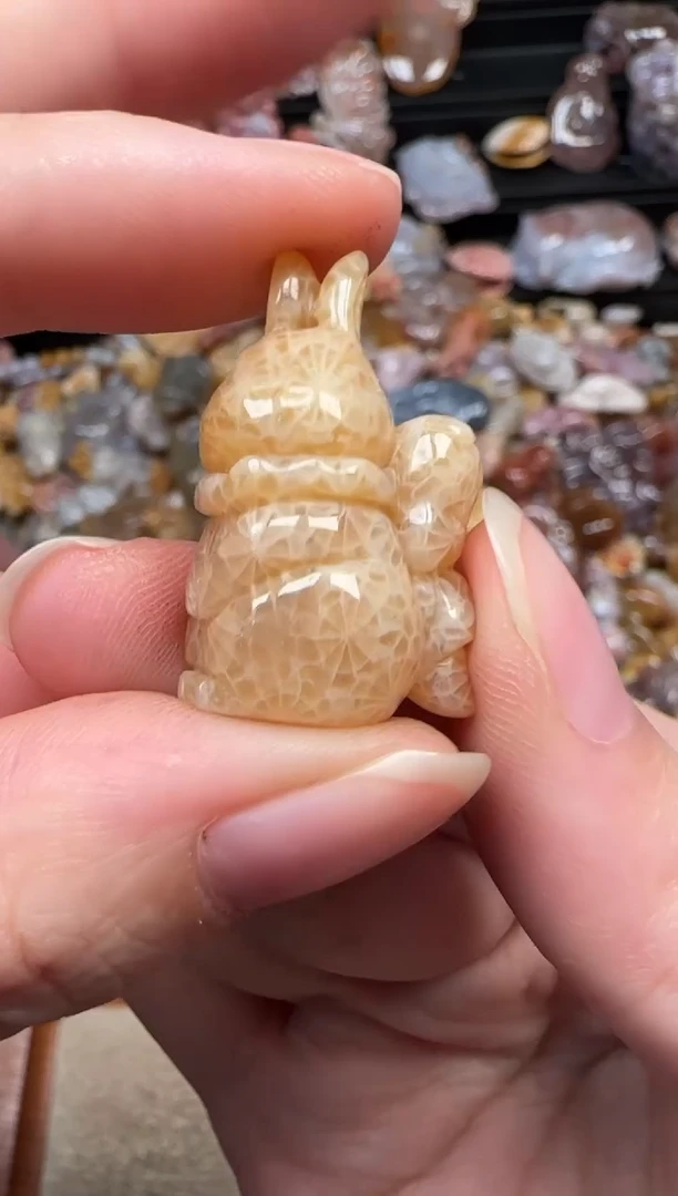 颈饰未镶嵌硅化珊瑚（珊瑚玉）928
