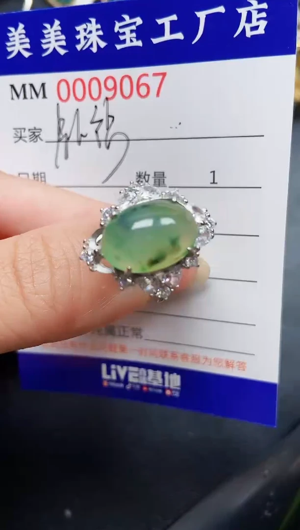 翡翠银S925镶嵌颈饰9067