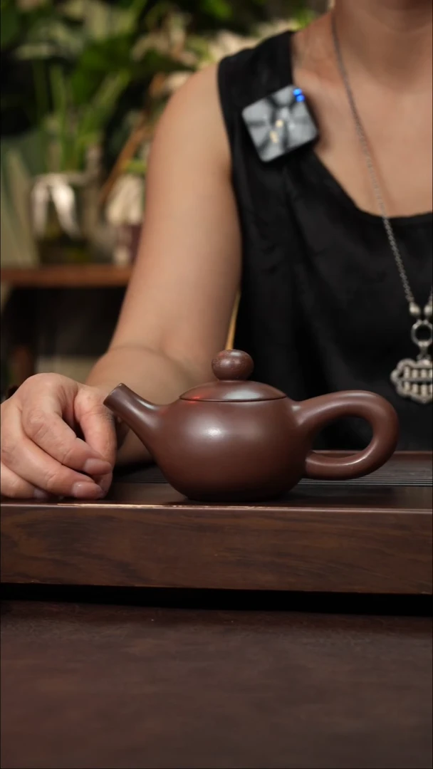 茶壶紫砂紫泥阿拉丁