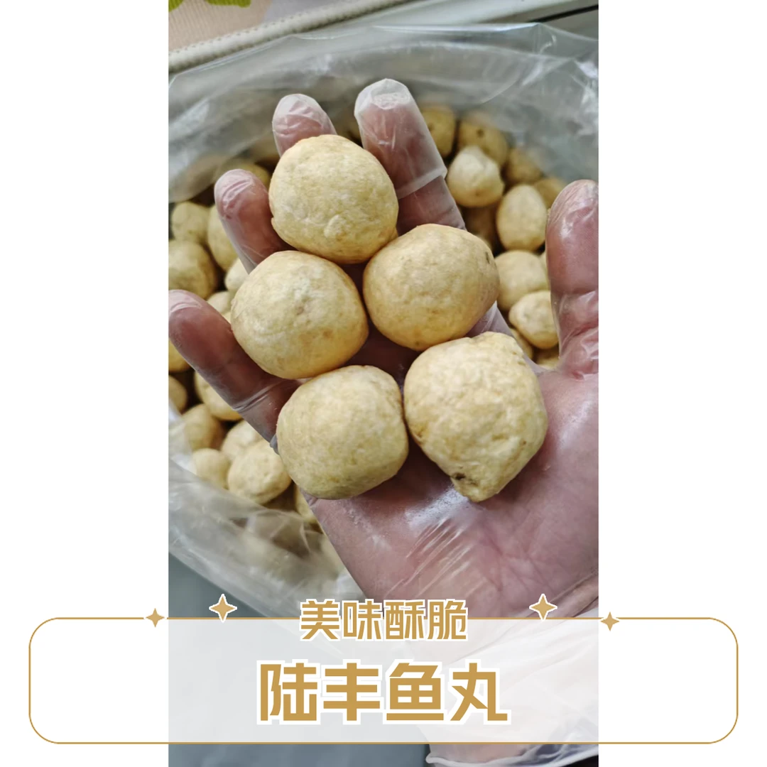 陆丰特色美食正宗南塘特产炸鱼丸大粒  酥脆鱼丸