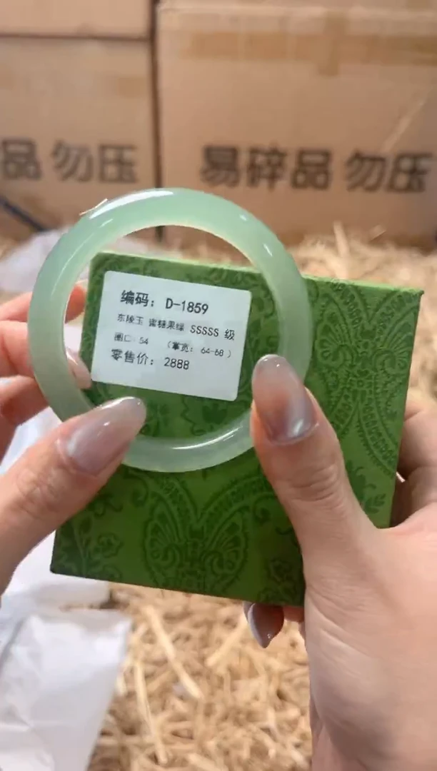 未镶嵌手镯石英质玉D-1859