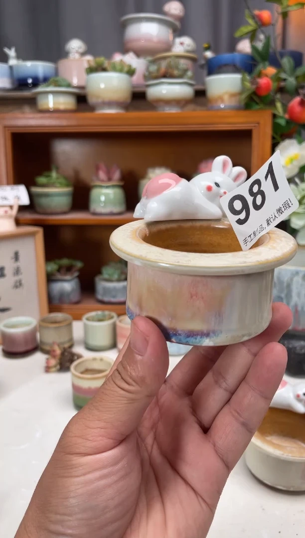 瓷片j**h981知木小芳花盆