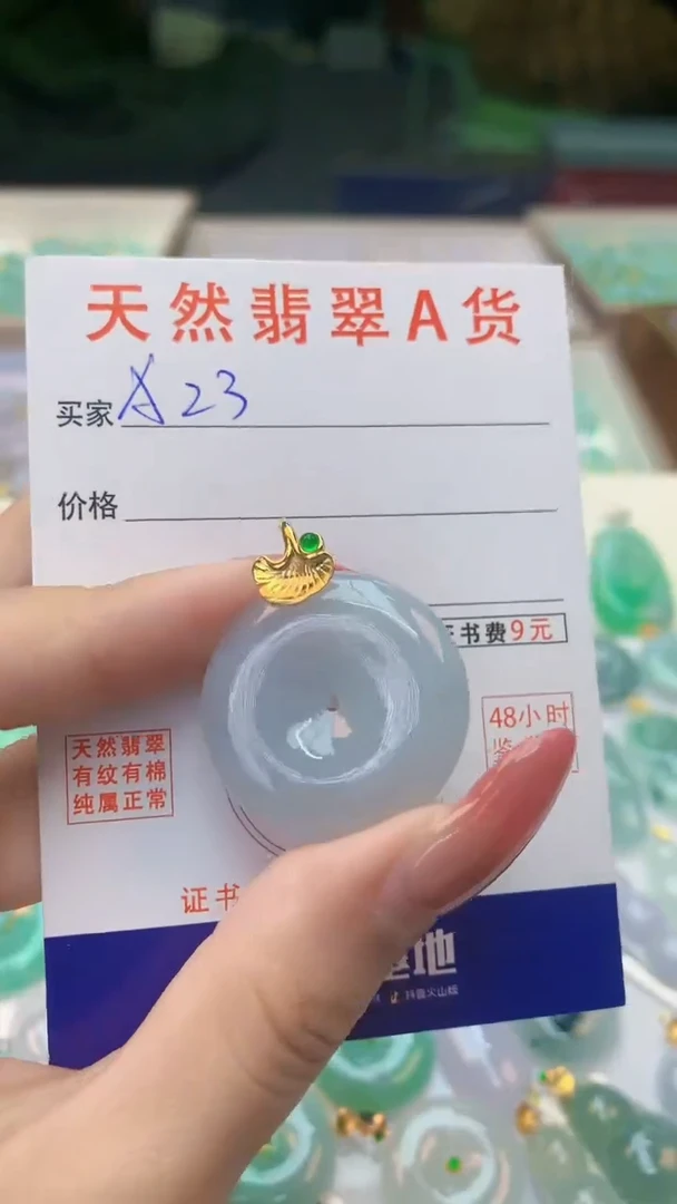 颈饰未镶嵌翡翠天然A货翡翠挂件