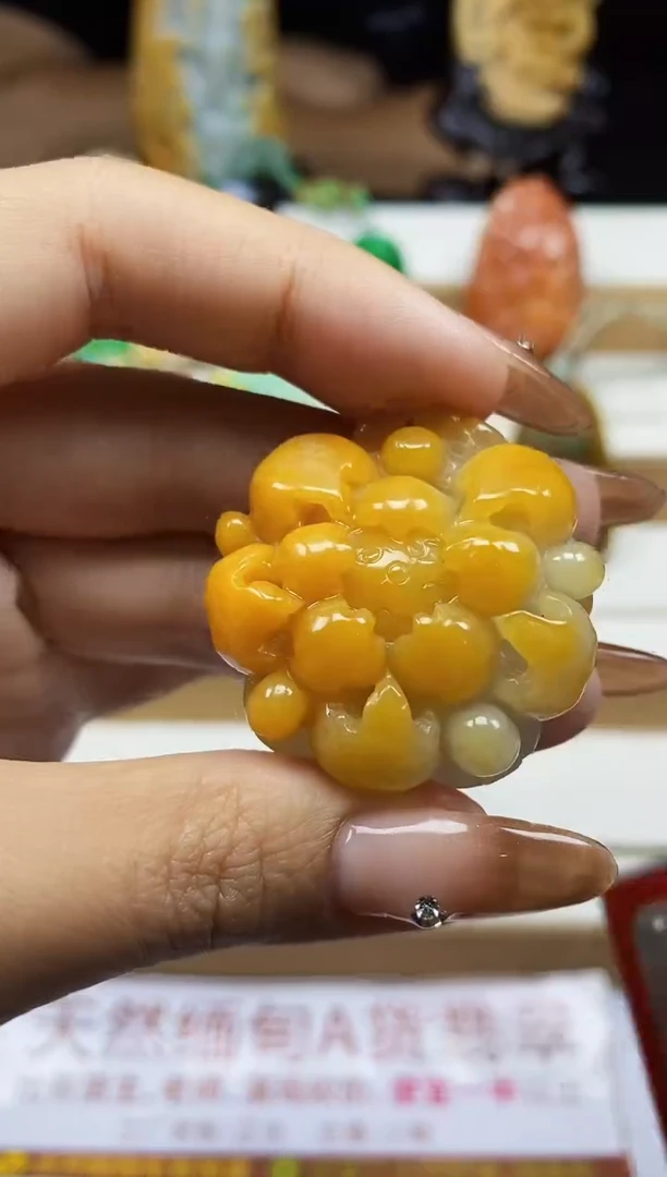 颈饰未镶嵌翡翠1