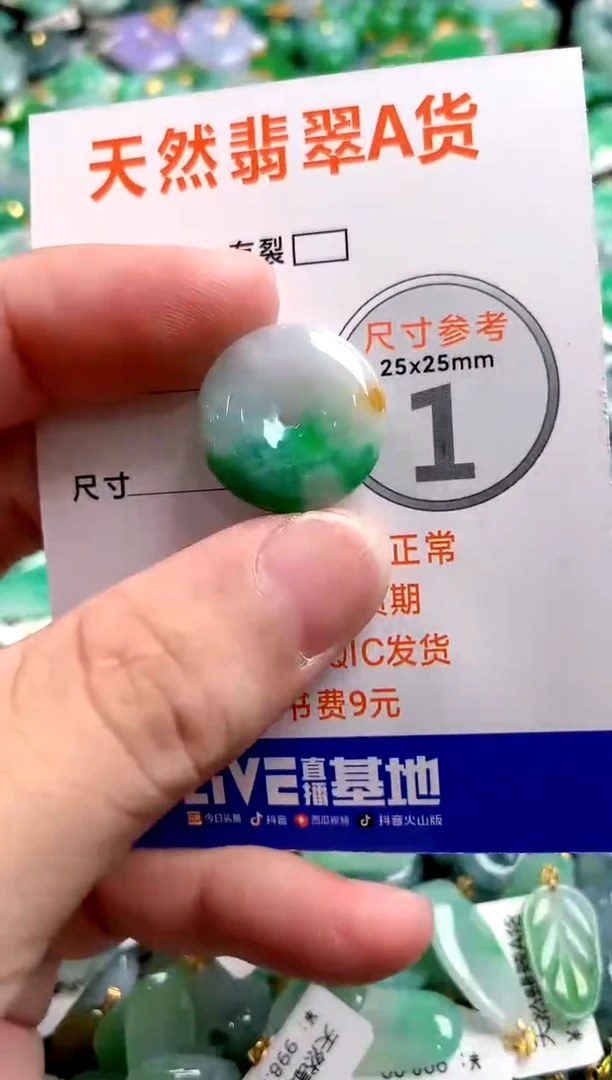 颈饰未镶嵌翡翠0113793437