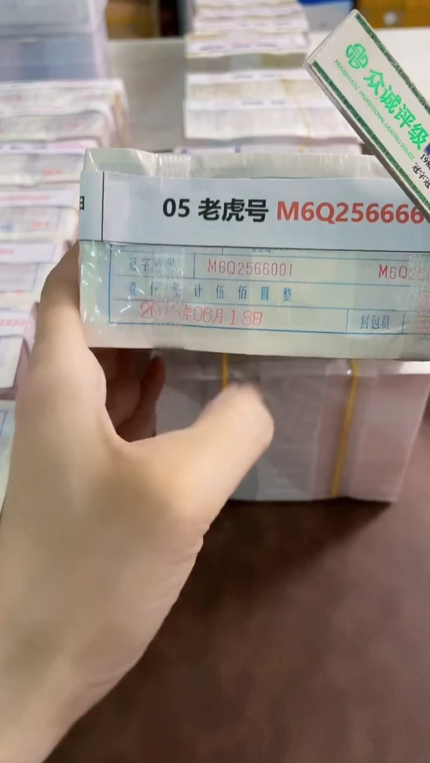 M 05 老虎号 M6Q2566666