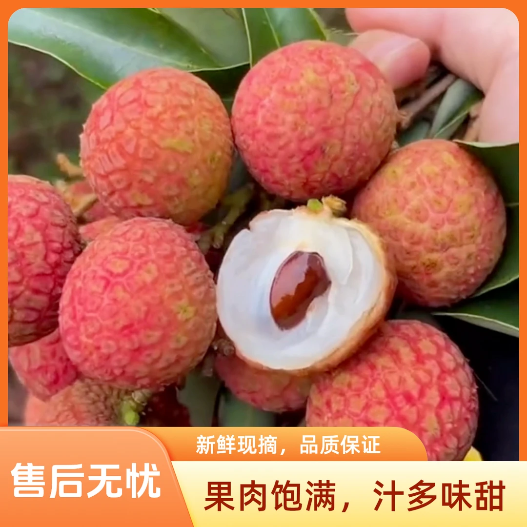 【同城配送】白糖罂荔枝新鲜水果甜度高核小肉厚汁水丰富