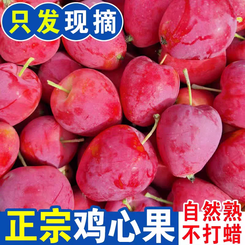 东北特产鸡心果香妃海棠酸甜口孕妇水果新鲜采摘 包邮