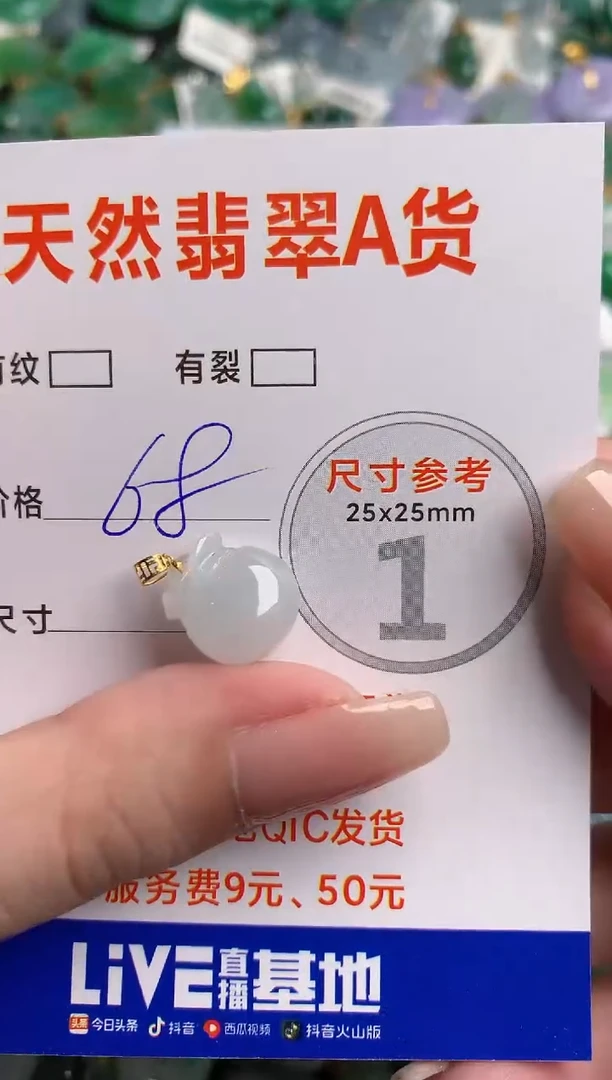 翡翠18K金镶嵌颈饰24001371