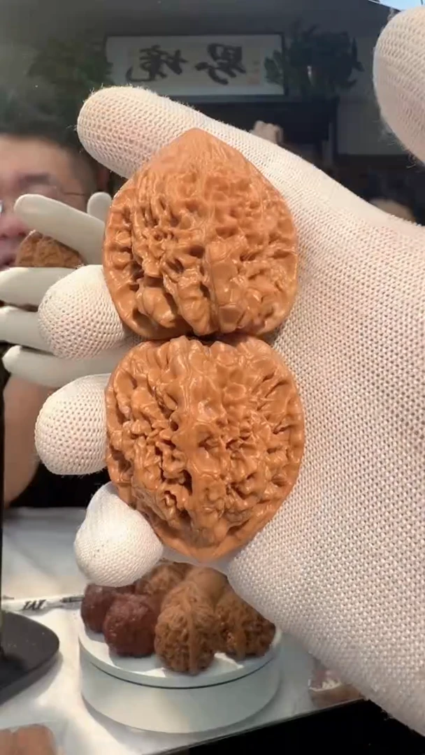 把件龙脊菩提焦*014 官帽 41-44-45