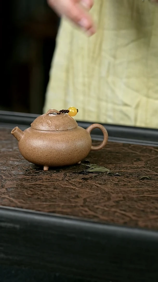 茶壶紫砂全手把把壶 一物见春