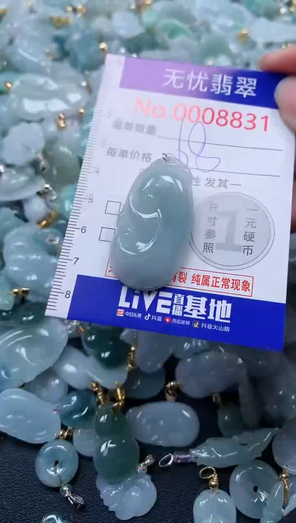颈饰未镶嵌翡翠8831