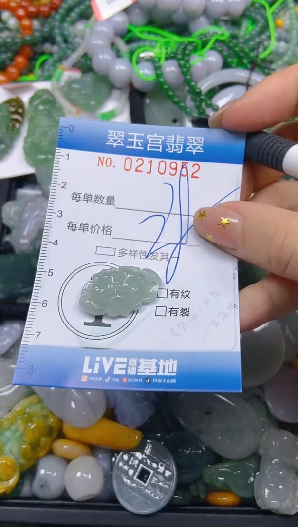颈饰未镶嵌翡翠闪购C0210952