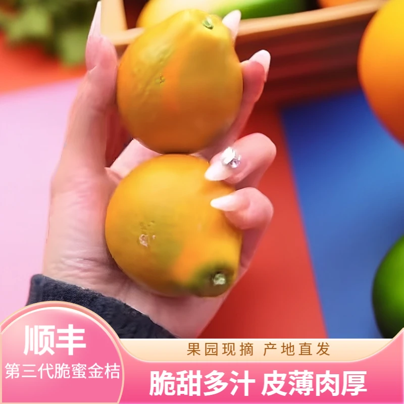 【顺丰包邮】广西融安第三代脆蜜金桔纯甜无酸无籽新鲜采摘现摘现发