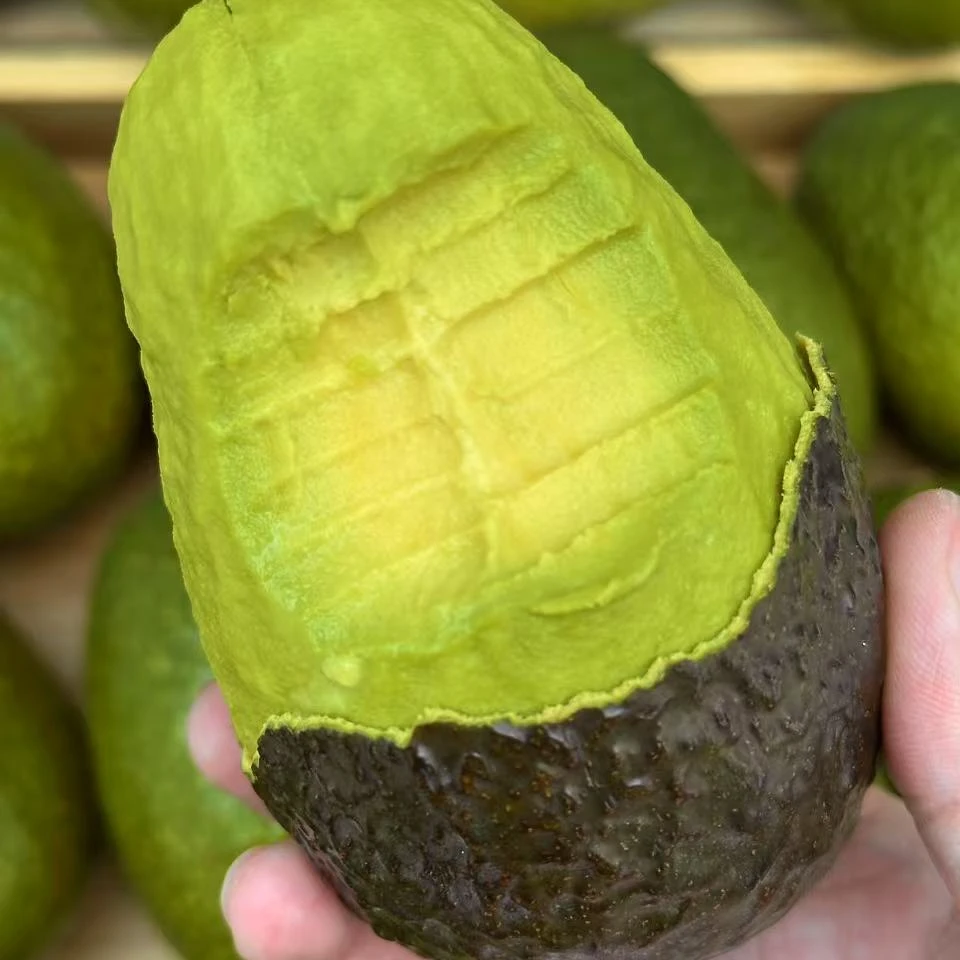 F 进口哈斯巨无霸牛油果6-9颗装170-230g/颗坏果包赔京东包邮