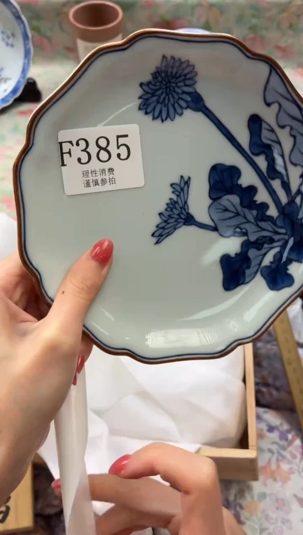 瓷片翎       F385