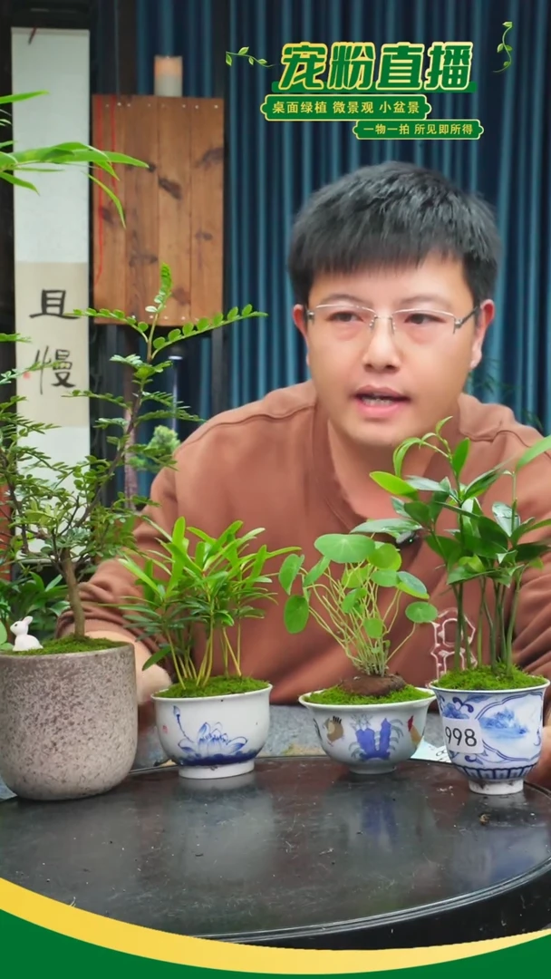 无花朵?****要苔藓微景观998号