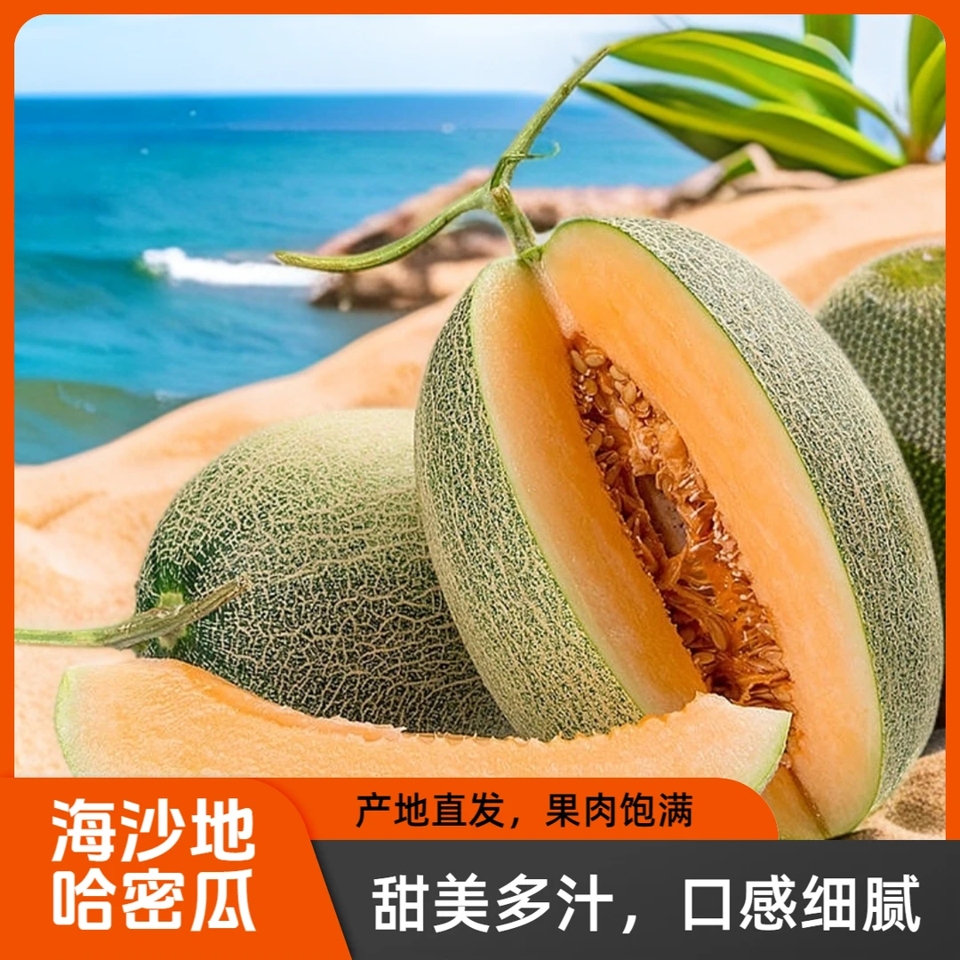 【海南直发】海南沙地哈密瓜西州蜜甜瓜脆甜多汁当季水果现摘现发