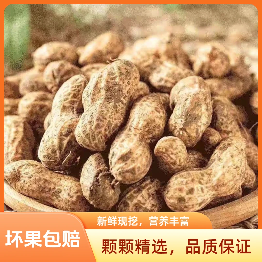 2025年现挖新鲜带壳湿花生/5斤农家自种粉皮花生香甜可口可水煮