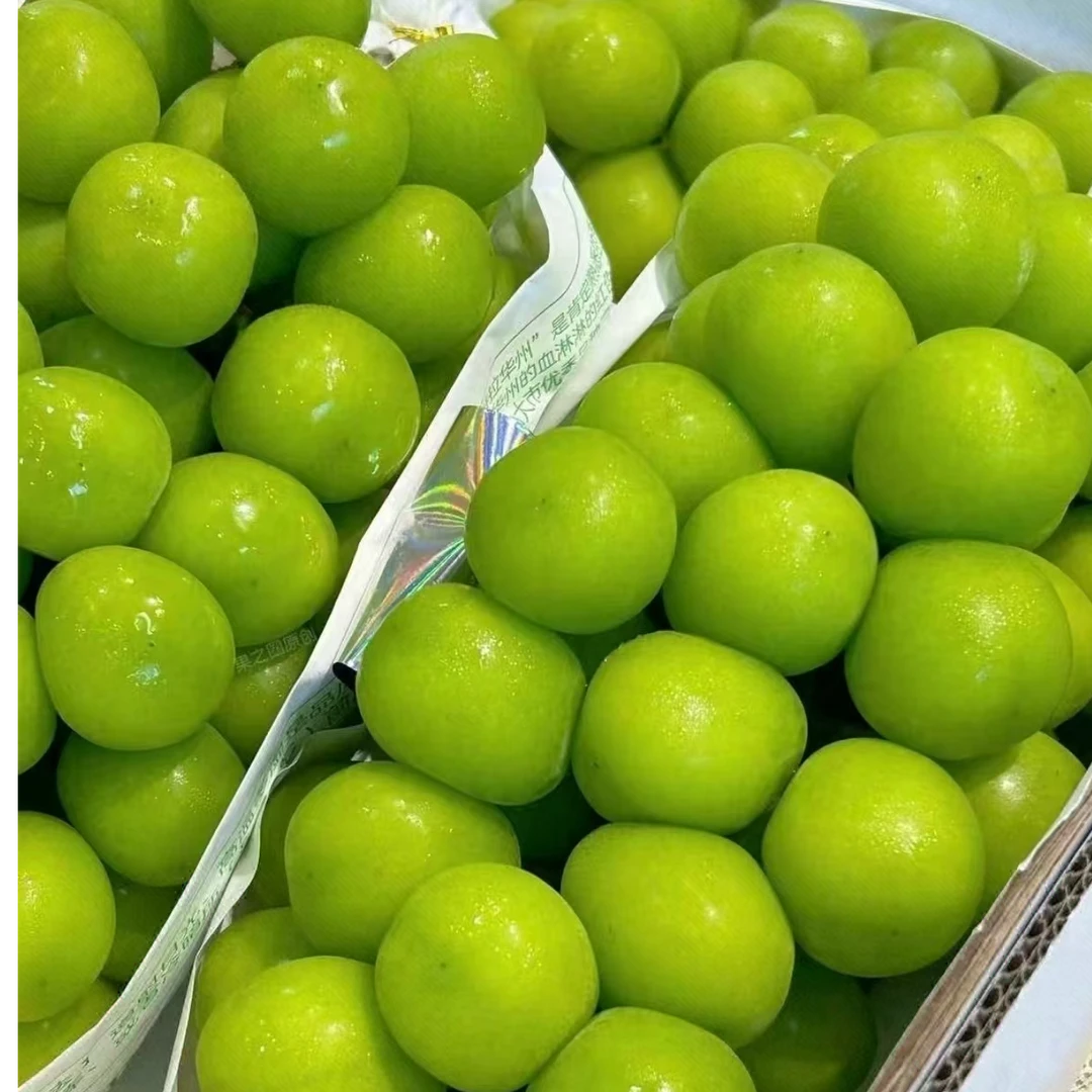 【绿野大叔】西域天香脆甜爽口葡萄无核3斤原箱礼盒-顺丰