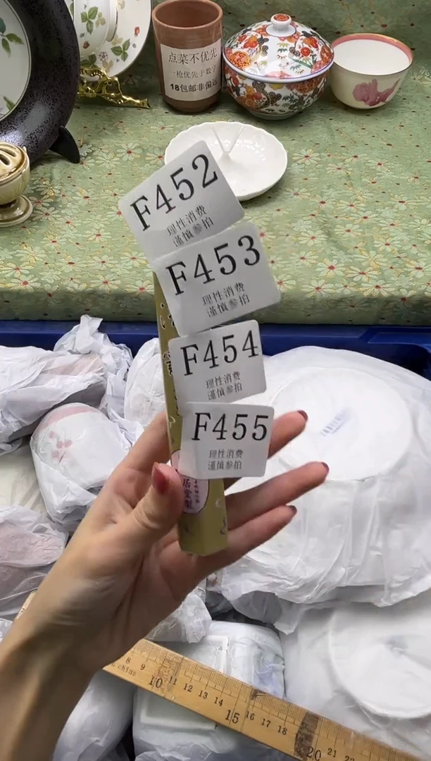 瓷片       F454
