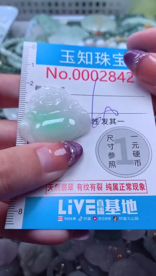 翡翠未镶嵌吊坠(不含链)2842