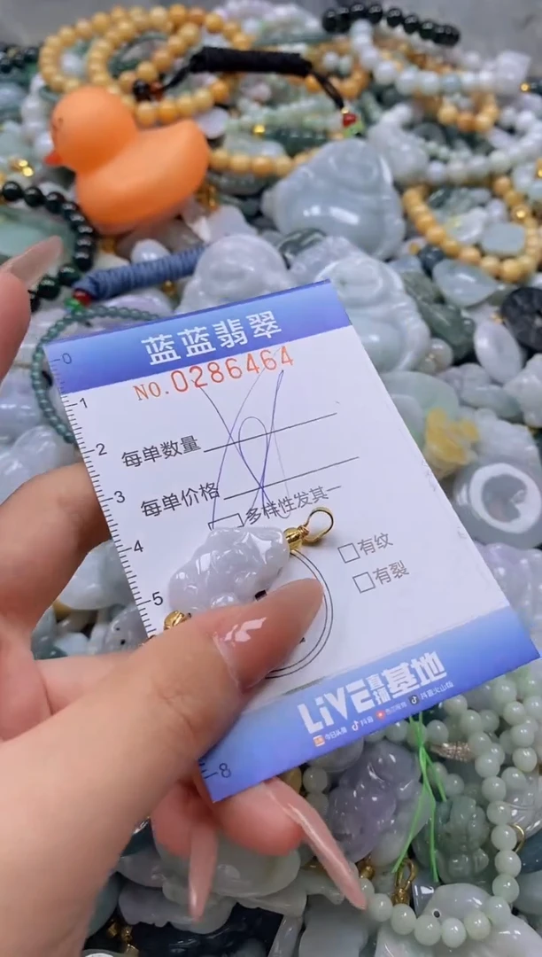 翡翠未镶嵌颈饰闪购0286464多样性发其一
