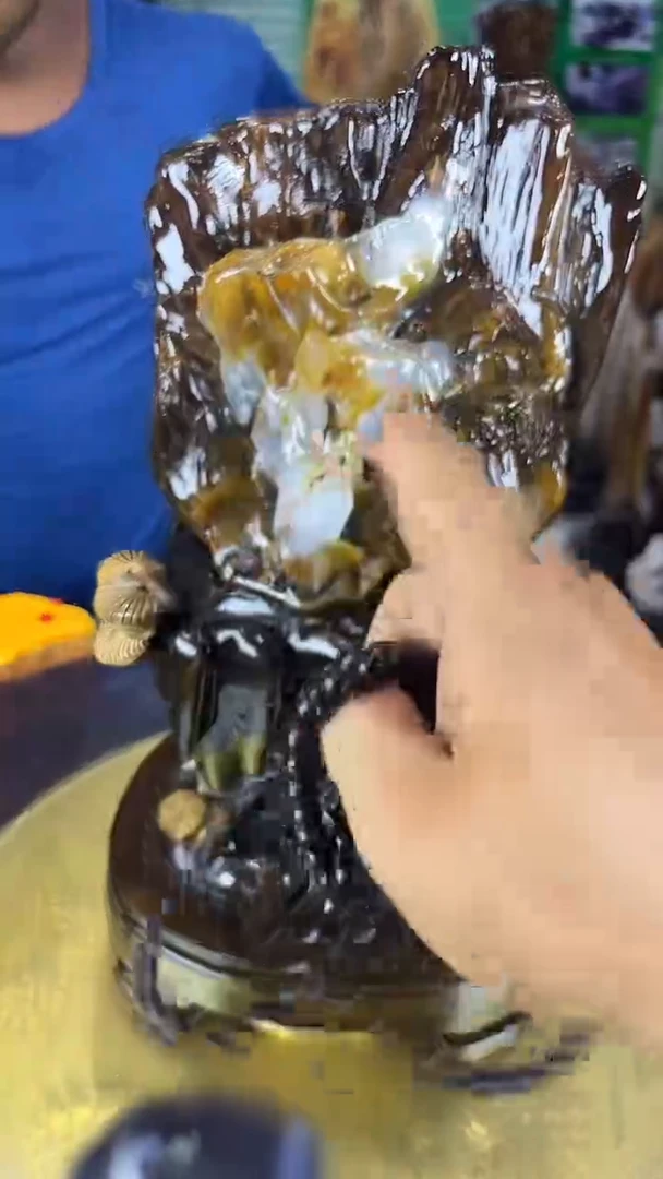 未镶嵌珠宝奇石硅化玉缅甸天然树化玉摆件