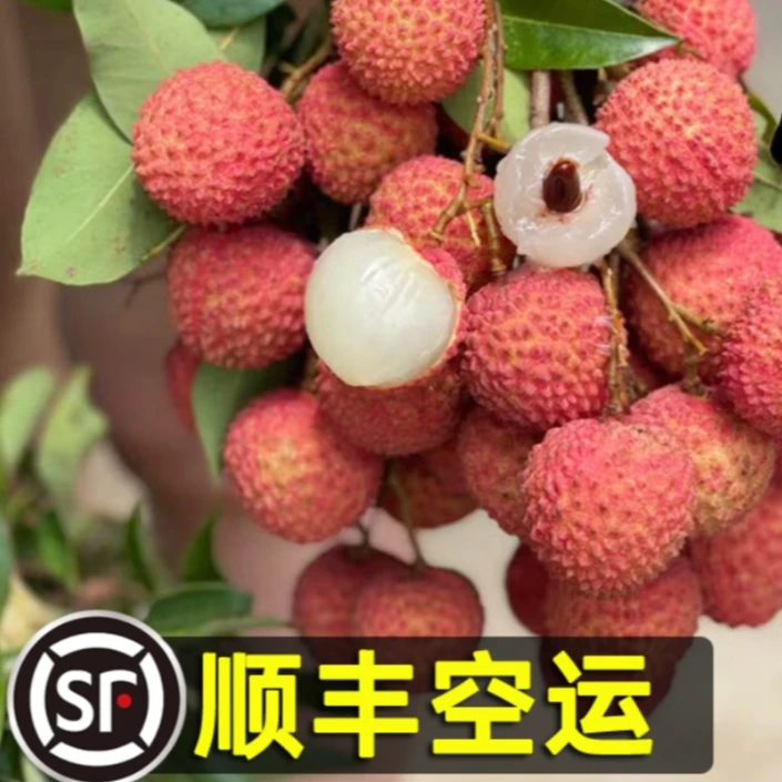 2025桂味荔枝广东惠州当季新鲜水果整箱顺丰包邮