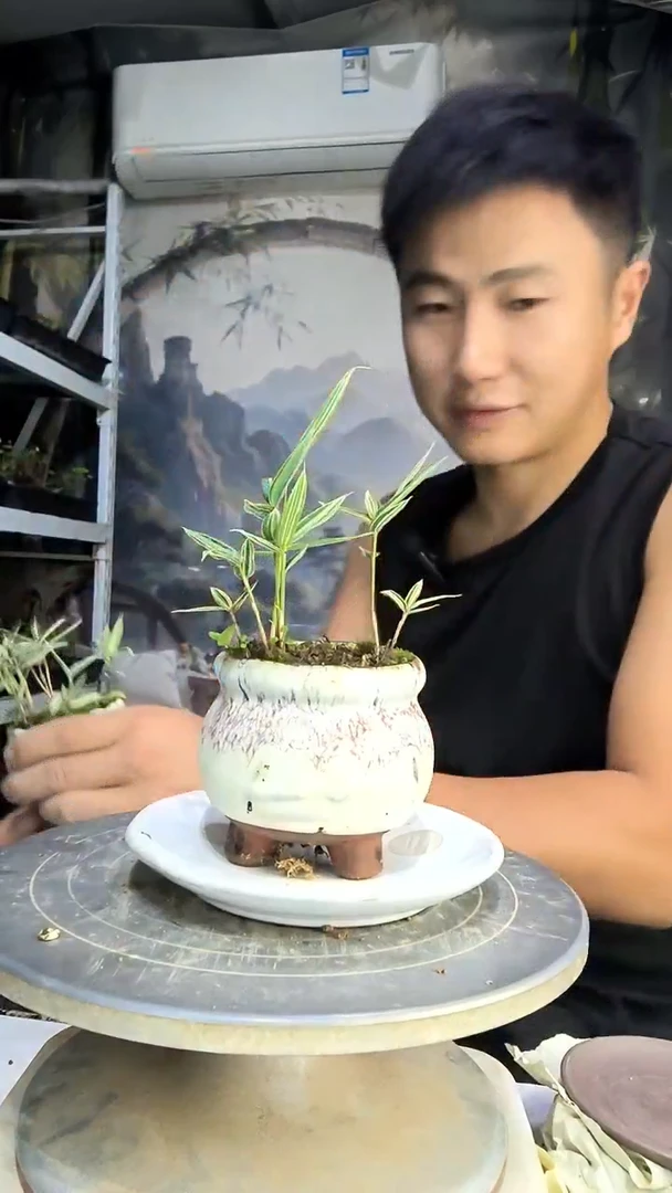 用****4中青园艺一物一拍38